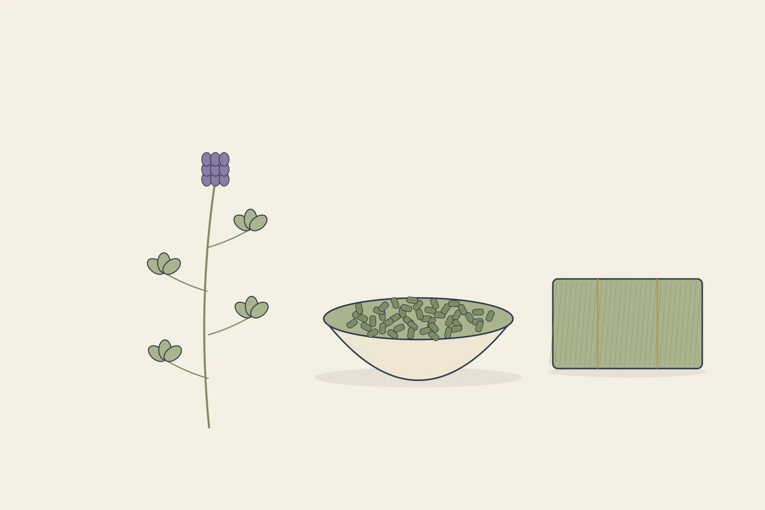 Gezeichneter Luzernezweig mit kleeartigen Blättern und violetten Blüten neben einer Schale mit Cobs und einem kleinen Heuballen.